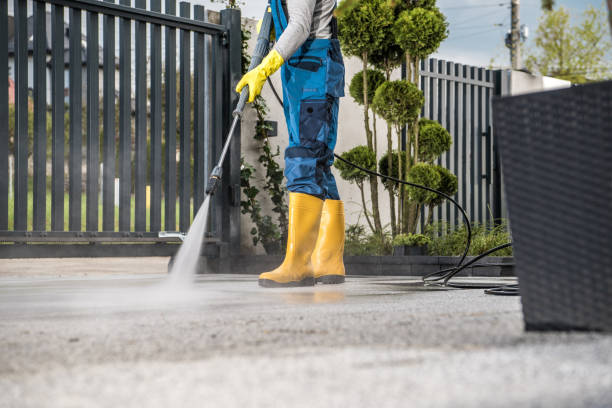 Best Driveway Pressure Washing  in Lake City, IA
